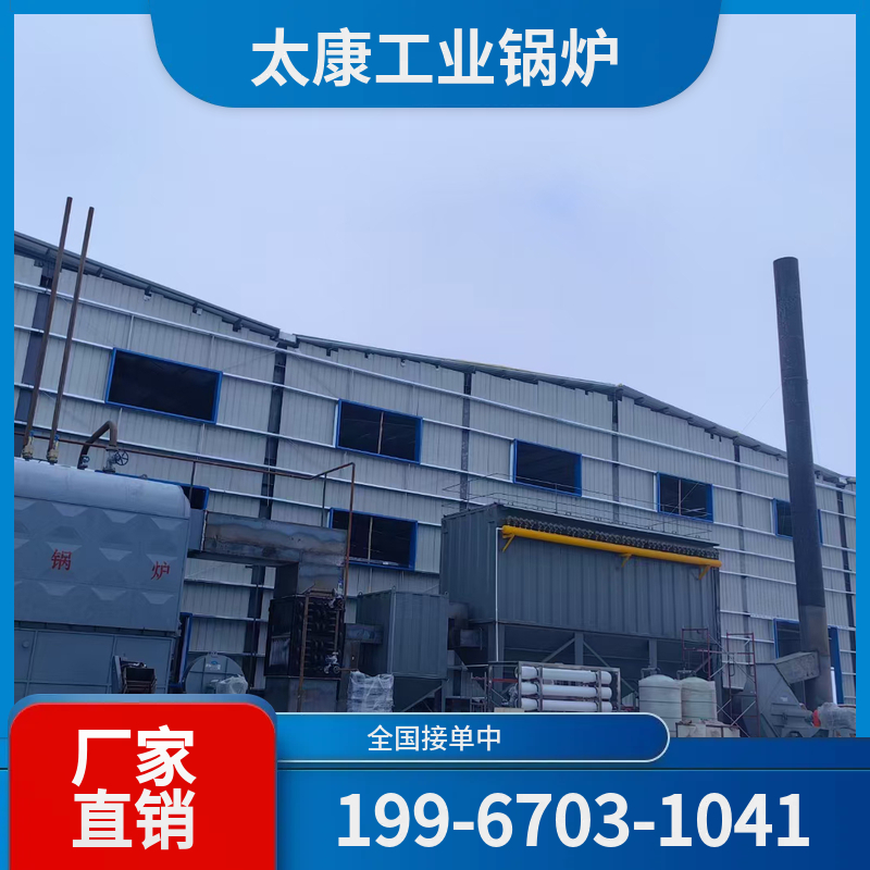 石嘴山高效燃煤锅炉